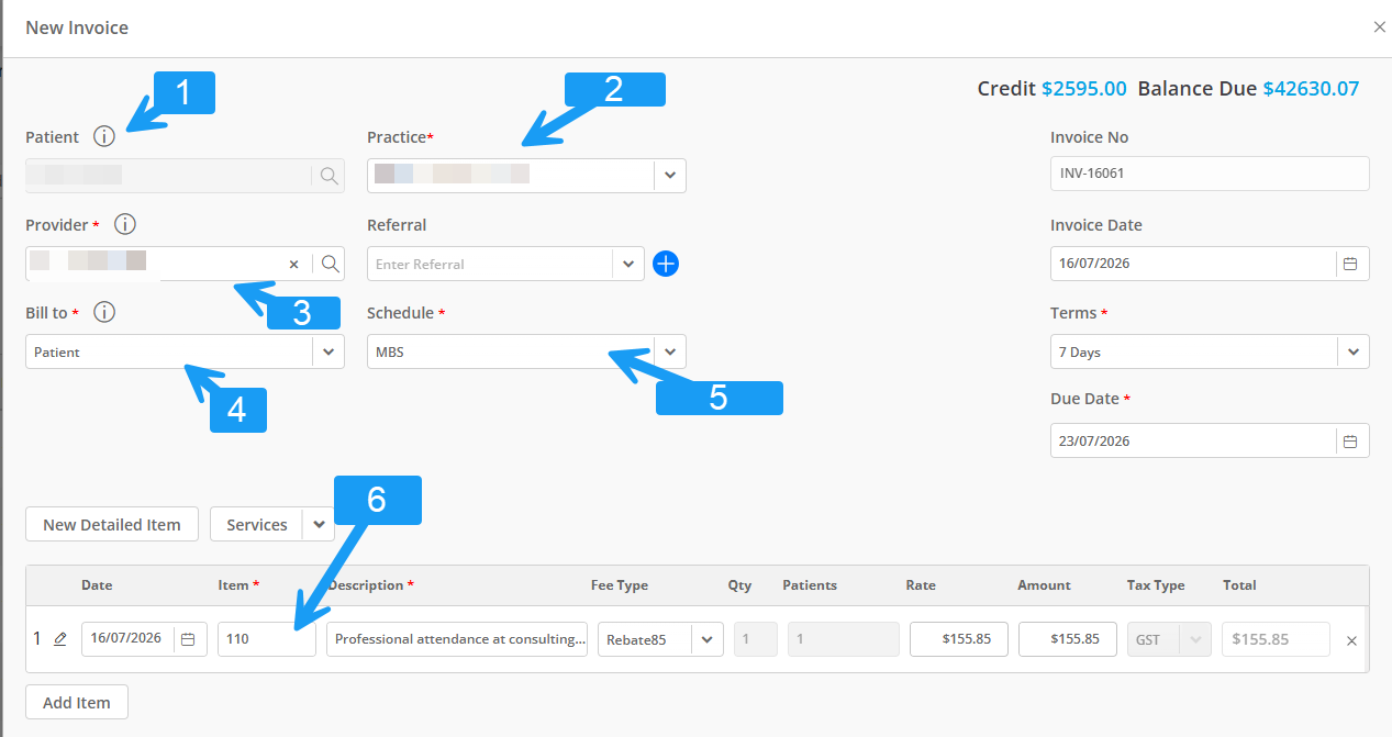 New Invoice form showing the Patient, Practice, Provider, Bill To, Schedule, and Item fields