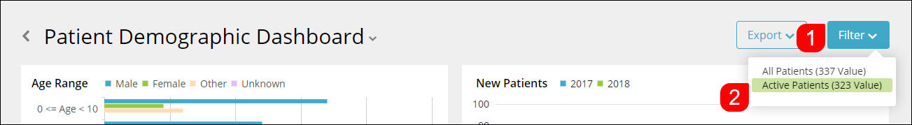 patients_demographic_dashboard_filter.png