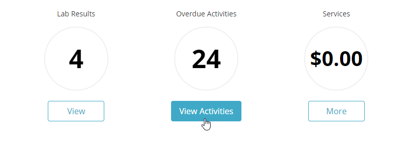 _overdue_activities_view_.png